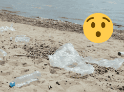 Los expertos esperan que el nuevo plástico ayude a reducir la nociva contaminación por microplásticos. Pexels