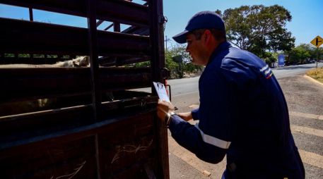 Se instalaron  Puntos de Verificación de Inspección para revisar los cargamentos de ganado. ESPECIAL