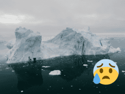 El hielo marino del Ártico ha desaparecido a una velocidad sin precedentes, de más del 12 por ciento cada década. Pexels
