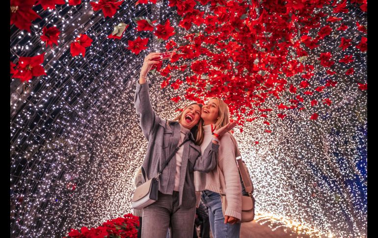 Navidalia 2024. GENTE BIEN JALISCO / Cortesía