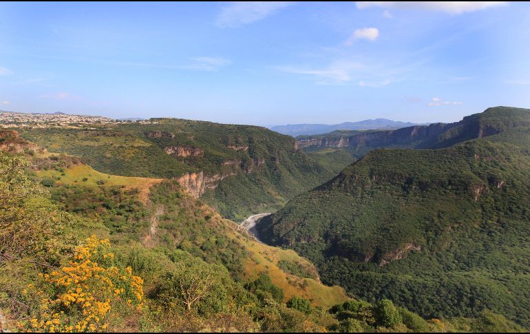 Jalisco tiene joyas gastronómicas que merecen atención, especialmente cuando se trata de líquidos para acompañar los alimentos o quitar el calor. EL INFORMADOR / ARCHIVO
