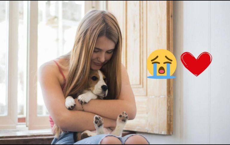 La agresión tierna está diseñada para captar nuestra atención de manera inmediata ante la ternura, promoviendo conductas de cuidado y protección.ESPECIAL/Pexels y Canva