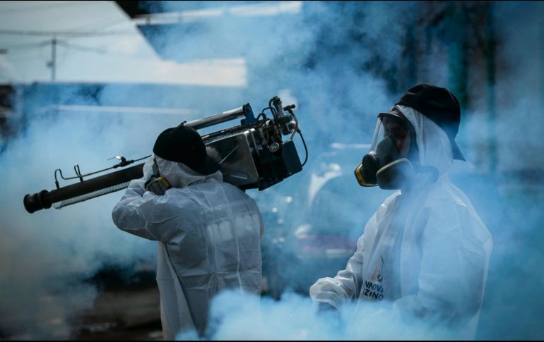 Las recomendaciones incluyen eliminar criaderos y protegerse contra mosquitos, pese a la llegada de la temporada invernal. EL INFORMADOR/ Archivo