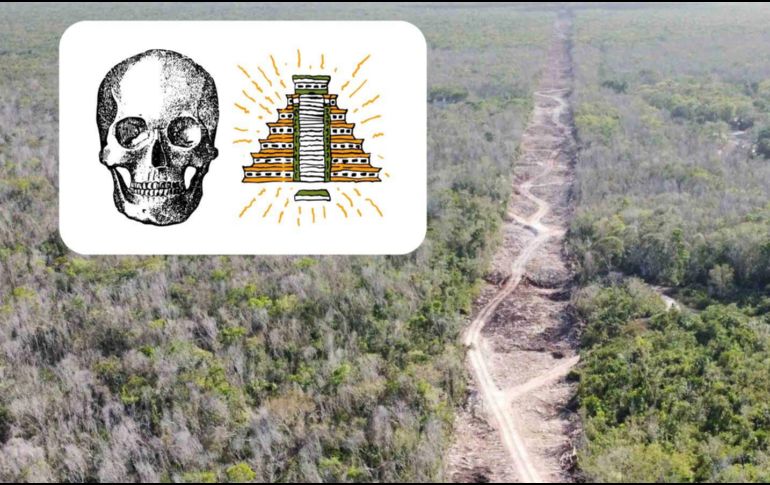 Este descubrimiento es parte del patrimonio biológico y cultural del país.INFORMADOR/ARCHIVO/CANVA