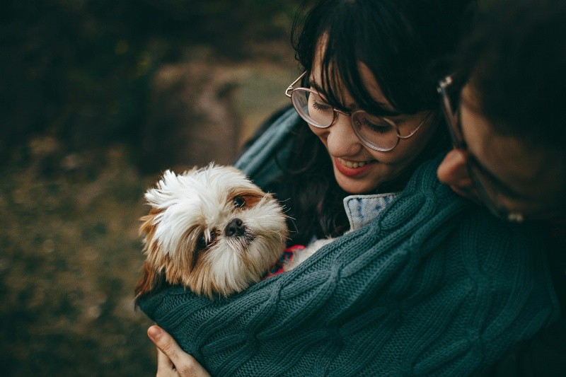 este drama canino generalmente comienza con una enfermedad real. Por ejemplo, el fingir una tos, que por inercia hace que los dueños se acerquen a ellos para abrazarlos o cuidarlos. PEXELS/ Helena Lopes 