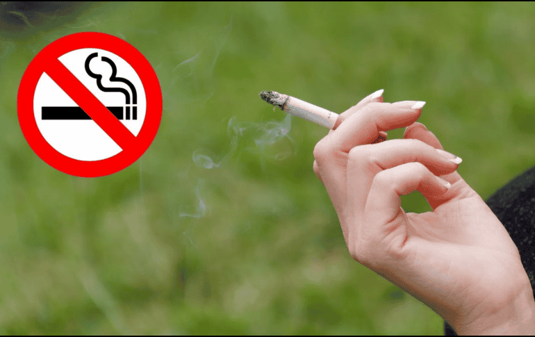 Aún no se ha especificado cómo se regulará la aplicación de esta normativa. UNSPLASH / KOA'LINK