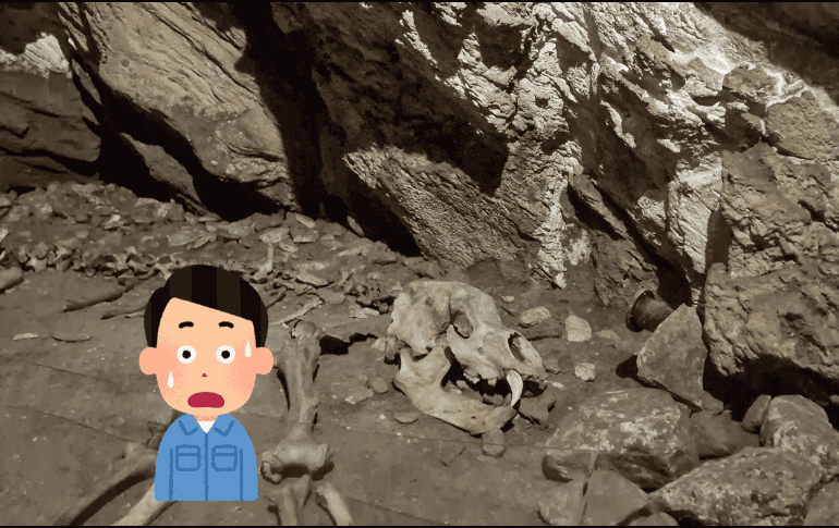 Este descubrimiento revela un hecho sin precedentes ocurrido durante la Edad de Bronce. Pexels