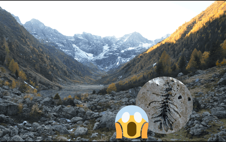 Este hallazgo permitió a los paleontólogos reconstruir el ecosistema que había en aquel entonces. Fickr / Pixabay