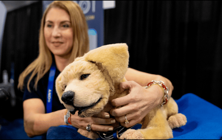 Estos son los inventos que mayor curiosidad han provocado en la Feria de Electrónica de Consumo . AP / Jack Dempsey)