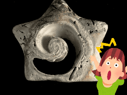 Dicho hallazgo subraya la diversidad biológica que existía en los mares hace cientos de millones de años. NTX / ARCHIVO