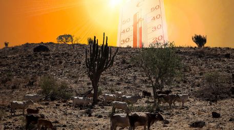 Expertos señalan que los pasados diez años (2015-2024) han sido los más cálidos de todos los que están documentados, un claro indicio de que el calentamiento global está alcanzando niveles críticos. ESPECIAL / EL INFORMADOR y CANVA