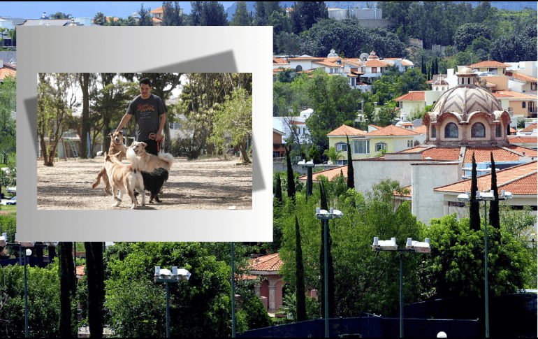 La IA detalló cuáles son algunas de las colonias más apreciadas de Zapopan por su belleza, tranquilidad y calidad de vida. EL INFORMADOR/ARCHIVO