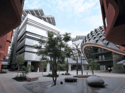 El gerente sénior de desarrollo empresarial de la ciudad, señala que quieren formar un 