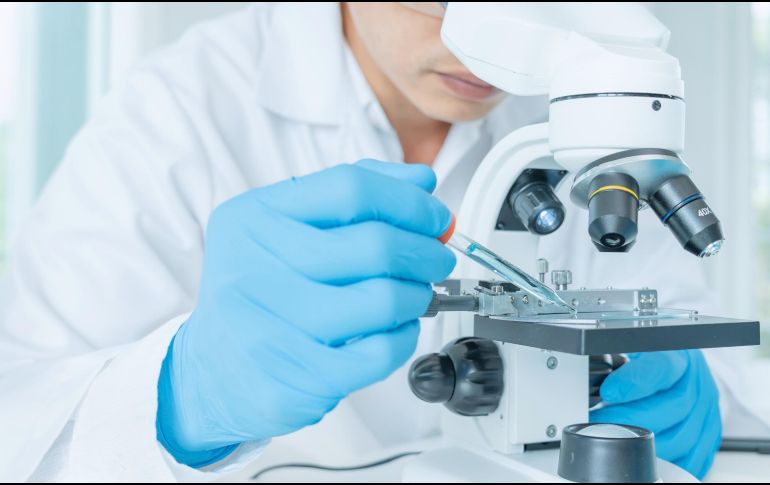 Al tratarse de un estudio observacional, faltan más datos para llegar a una conclusión. ESPECIAL / CANVA