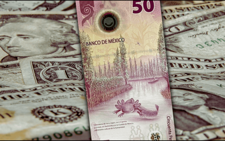 Hoy, la mejor opción en la compra del dólar -en este momento de la mañana- es en Citibanamex y la venta, en Banco Azteca. AFP / ARCHIVO