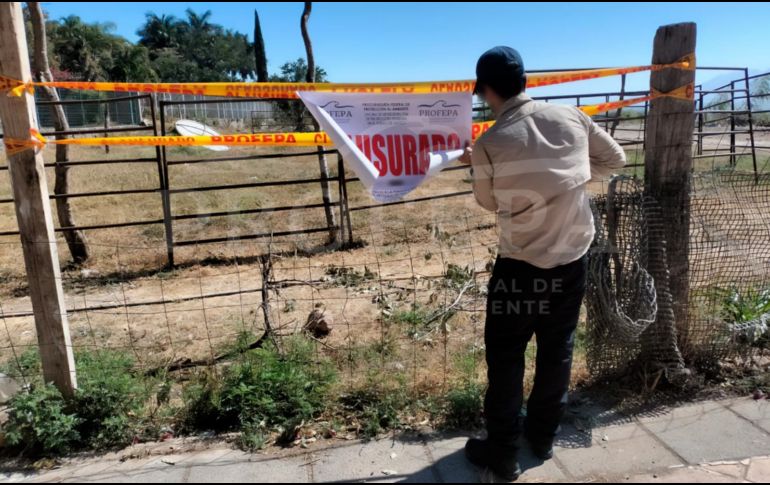 La Semarnat confirmó que la autoridad municipal no cuenta con un permiso ambiental por parte de la dependencia para llevar a cabo obra civil en el predio. CORTESÍA.