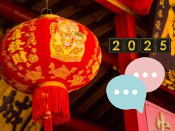 Este año,  la combinación de la serpiente con la madera impulsa a las personas a buscar el aprendizaje continuo y a enfrentar los desafíos con flexibilidad e inteligencia. ESPECIAL / Pexels / Canva