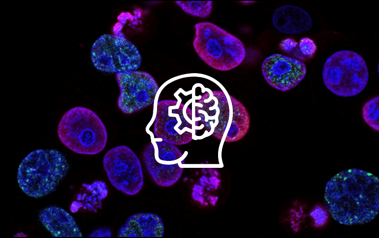 La Inteligencia Artificial continúa favoreciendo los campos de biología y biomedicina. UNSPLASH / National Cancer Institute