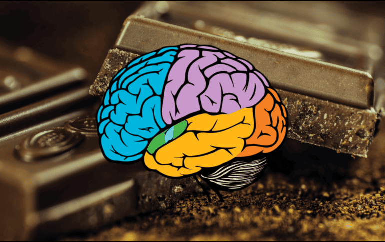 Las personas que consumen cacao registraron una menor cantidad de estrés. PEXELS / CANVA