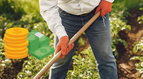 El proceso de incorporación será publicado en la página oficial de la Secretaría de agricultura y desarrollo rural. CANVA / ESPECIAL