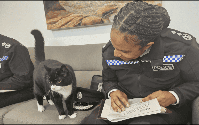 Descubre la historia del gato Palmerston. ESPECIAL / X @DiploMog