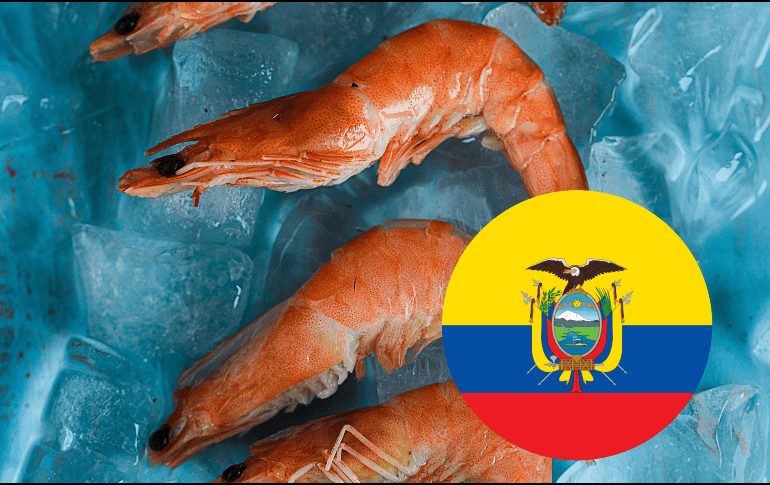 La empresa líder genera empleos para 18 mil personas de forma directa. UNSPLASH / AM FL