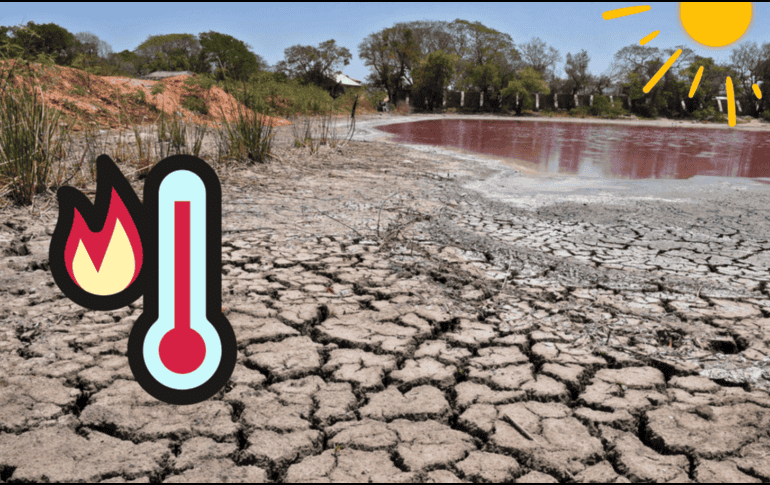 Siete localidades de Paraguay superaron récords históricos de calor. CANVA.
