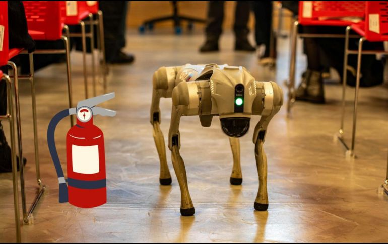 Se espera que la industria de la robótica sigua innovando para poder implementarse en otras áreas. Especial / Pexels y Canva