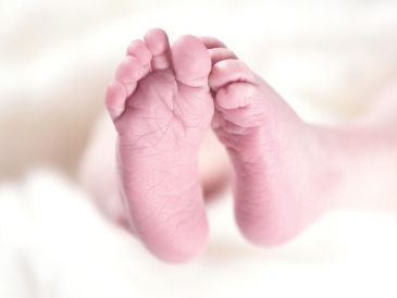 Fue en el Ministerio público de la alcaldía Cuauhtémoc a donde lo llevaron para que se hiciera responsable de su acto. Pixabay.