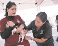 Especialistas atienden a mascotas en Zapopan. ESPECIAL