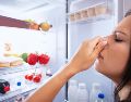 Si bien estos trucos pueden ayudar a eliminar los malos olores, la mejor solución es prevenirlos con una limpieza periódica del refrigerador. ESPECIAL / CANVA