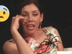 La actriz Cynthia Klitbo fue hospitalizada tras ser mordida por una araña viuda negra mientras se encontraba grabando en una locación en Guadalajara. EL INFORMADOR/ ARCHIVO/ CANVA