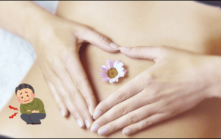 Cuida de tu salud intestinal. ESPECIAL / Pixabay @silviarita