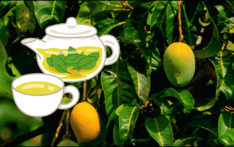 Originario de Asia, el mango llegó a México durante la Conquista y, gracias a su exquisito sabor, se convirtió en una de las frutas preferidas por muchos mexicanos. UNSPLASH/ R. Biswal