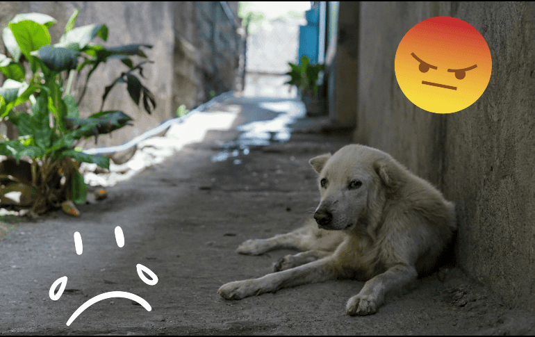 El robo fue condenado desde el primer momento en las redes sociales. UNSPLASH / A. Young