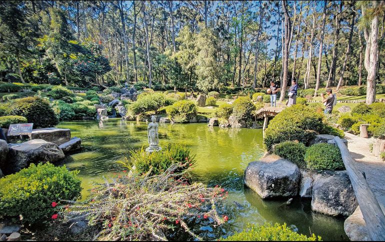 Espacio de reflexión. El Jardín Japonés transporta al visitante a un ambiente Oriental. ESPECIAL