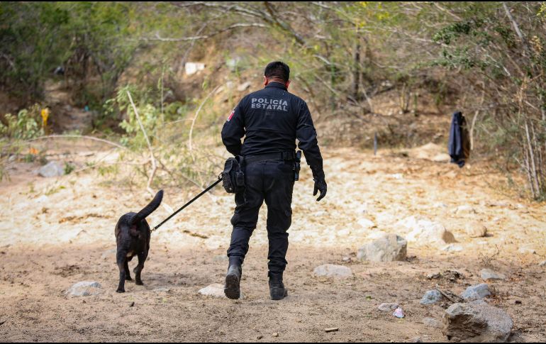 Se realizaron entrevistas en campo con un enfoque sensible y humanitario, con el fin de recabar información relevante para las labores de búsqueda. ESPECIAL