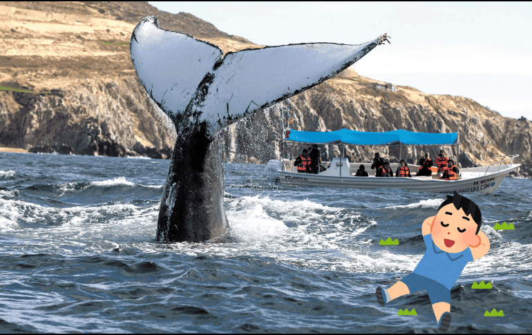 Estas ciudades ofrecen diversidad de paisajes. SUN / ARCHIVO