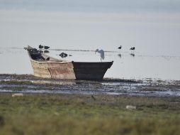 Este proyecto contempla la protección de 3,500 hectáreas. ESPECIAL