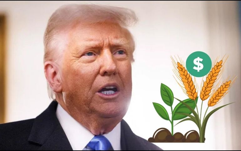 Esta supone su última amenaza sobre las barreras comerciales a los bienes que otros países venden en Estados Unidos. EFE / ARCHIVO