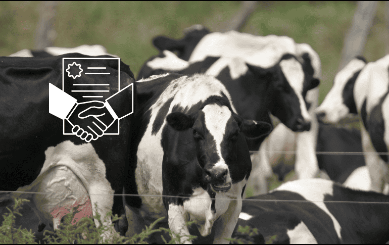 Las empresas cárnicas aseguraron sus inversiones para los próximos seis años. EL INFORMADOR / ARCHIVO