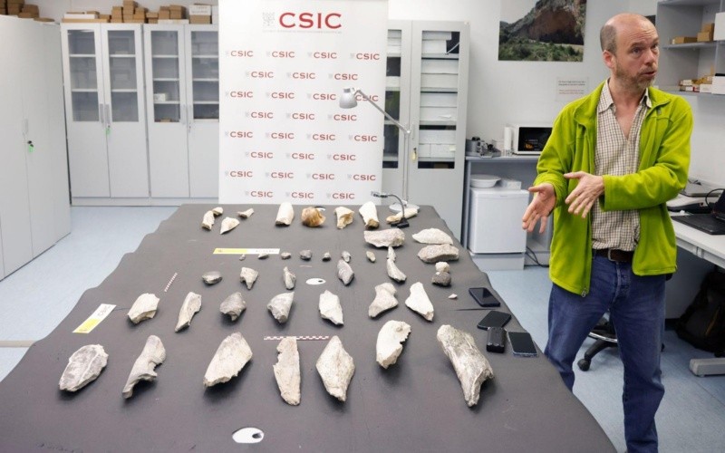 El investigador Ignacio de la Torre presenta el hallazgo realizado en un yacimiento de la Garganta de Olduvai. EFE / B. Míllez 