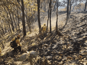 La alerta se desactivó luego de que la Unidad Estatal de PC y Bomberos informó que el incendio fue extinguido en su totalidad. ESPECIAL