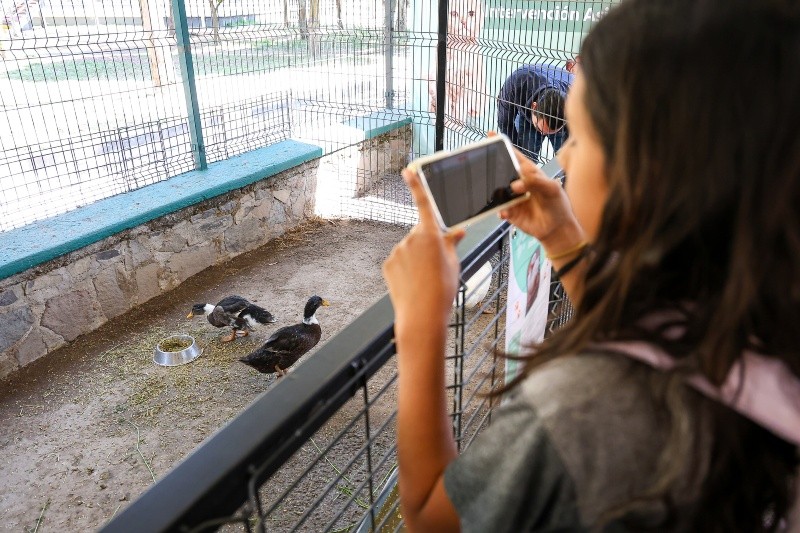  La entrada es totalmente gratuita y sólo basta agendar la visita con el CIA. EL INFORMADOR/ H. Figueroa. 