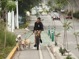 Existe la posibilidad de conectar la avenida Federalismo con una ciclovía desde Ávila Camacho hasta avenida Las Torres. EL INFORMADOR/Archivo