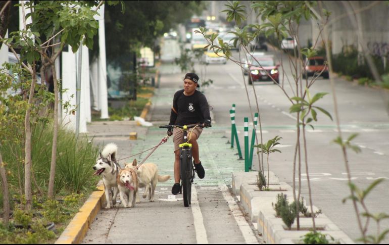 Existe la posibilidad de conectar la avenida Federalismo con una ciclovía desde Ávila Camacho hasta avenida Las Torres. EL INFORMADOR/Archivo