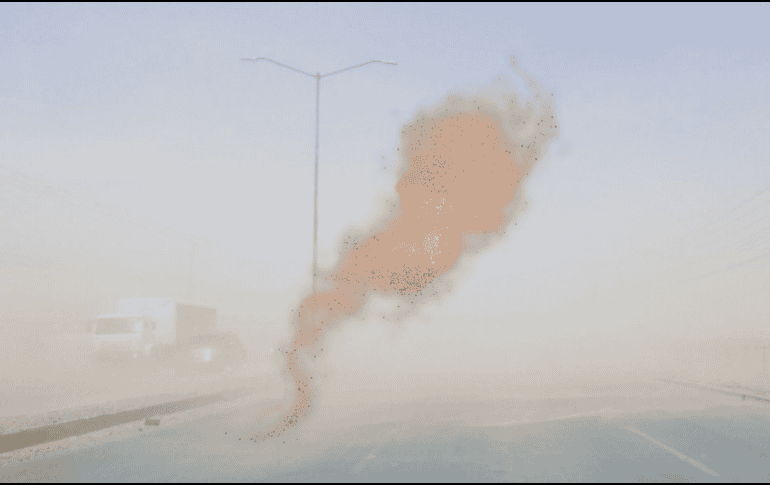 Las rachas de viento fuertes a muy fuertes podrían derribar árboles y anuncios publicitarios. SUN / ARCHIVO