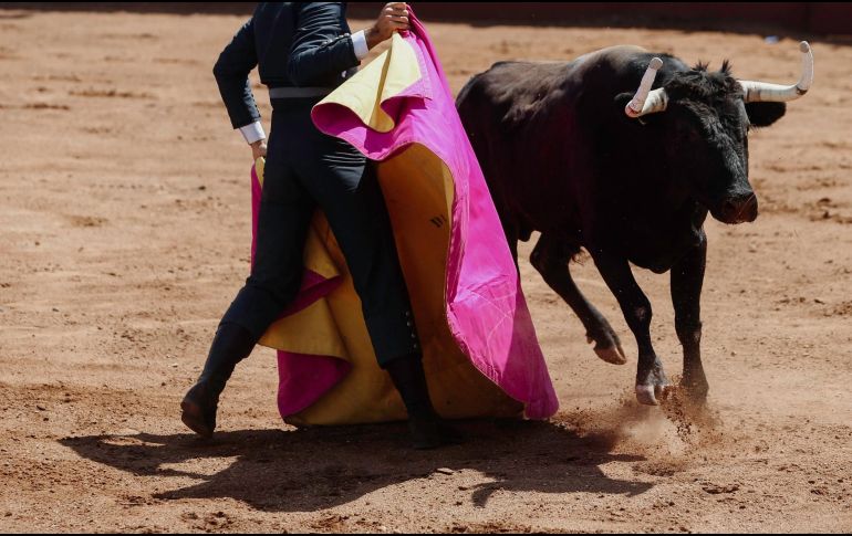 Para Claudia Sheinbaum, 