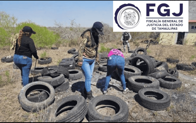 El colectivo 'Amor por los Desaparecidos' divulgó este miércoles la localización de varios restos humanos calcinados, con indicios de 