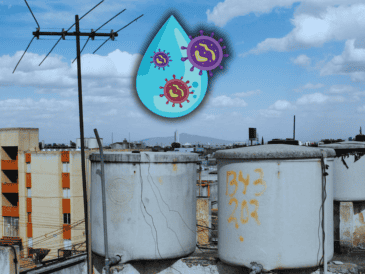 Estudios recientes han encontrado coliformes fecales en el 65% del agua almacenada en recipientes abiertos. EL INFORMADOR / ARCHIVO